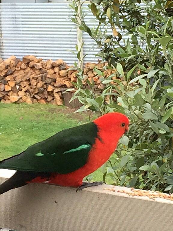 Holiday home for 12 people, with garden and balcony in Wye River