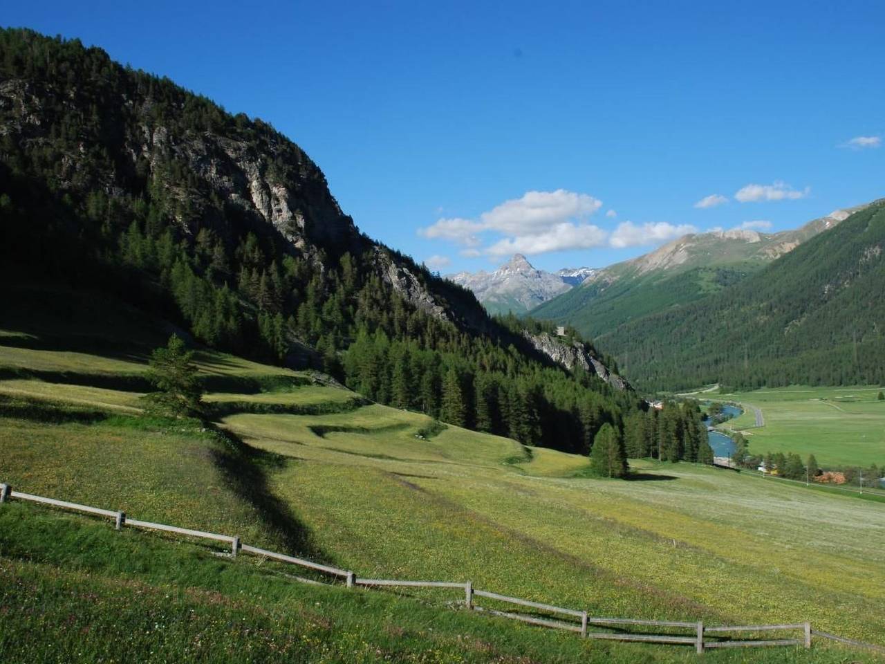 Ganze Wohnung, Chesa Arnica A5 in La Punt-Chamues-ch, Sankt Moritz
