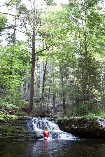 Lodge for 8 Guests in Pike County, Picture 1