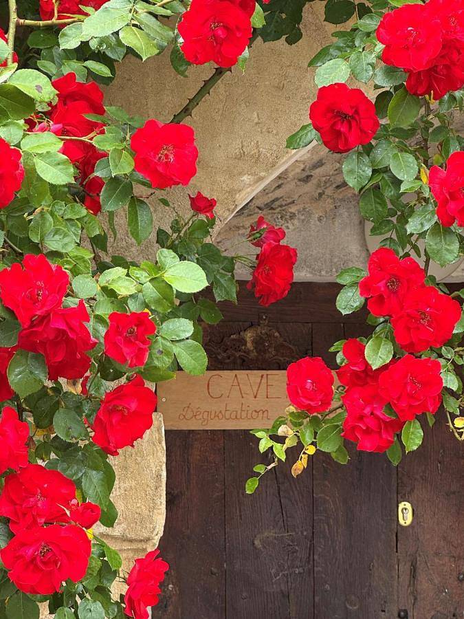 Chambre d’hôte pour 2 personnes, avec jacuzzi ainsi que jardin et piscine, animaux acceptés dans Yonne - 4