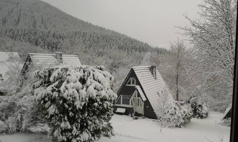 Ferienhaus für 5 Personen, mit Terrasse und Garten im Sauerland - 4