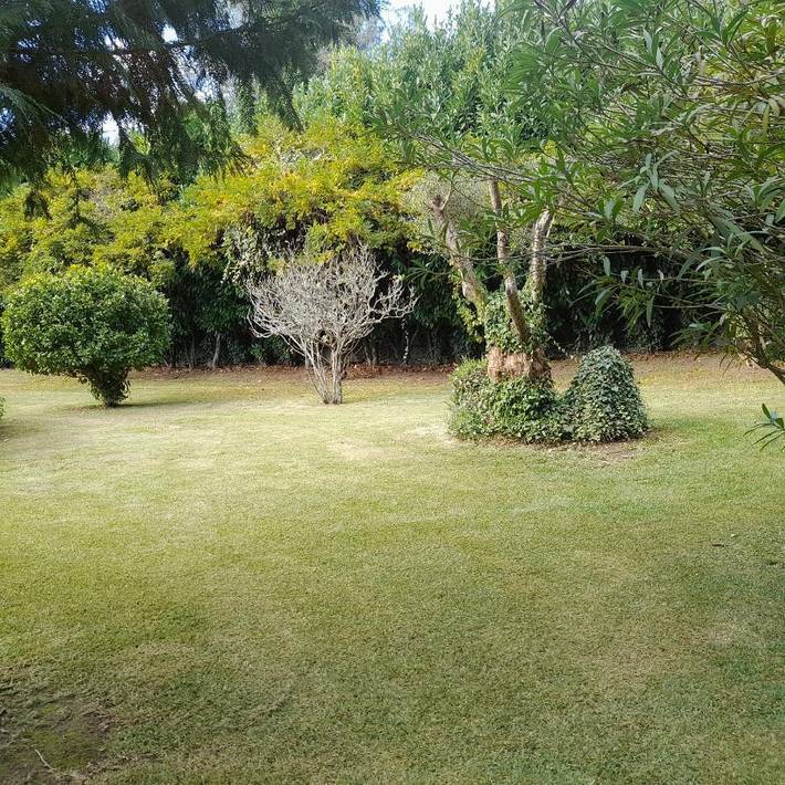 Casa rural para 4 personas, con jardín además de vistas y piscina en Póvoa de Lanhoso - 2