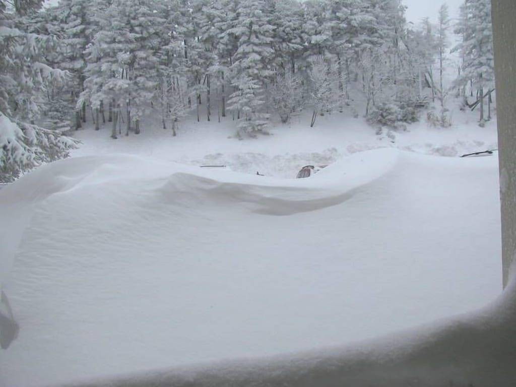 Ganze Wohnung, Eigentumswohnung mit an der Spitze der Schneeschuh - West Virginia - 8 Personen in Snowshoe, Greenbrier River