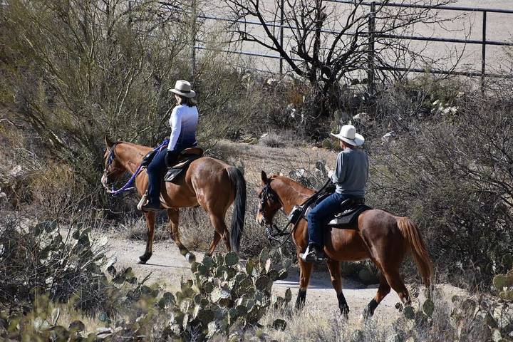 Maison d’hôte pour 2 personnes, avec jacuzzi dans Arizona - 3