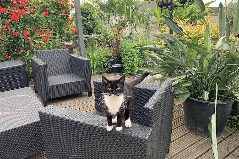Geheel appartement, Guest apartment near Speyer with beautiful terrace by the koi pond in Dudenhofen, Rijndal
