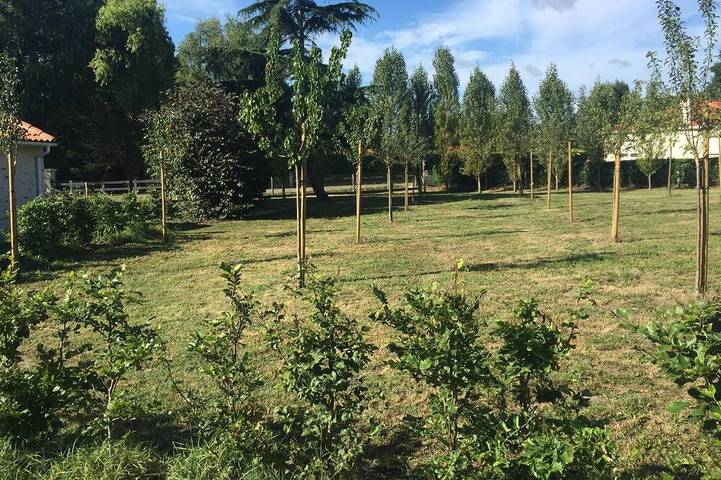 Location de vacances pour 4 personnes, avec terrasse et jardin à Soullans - 3