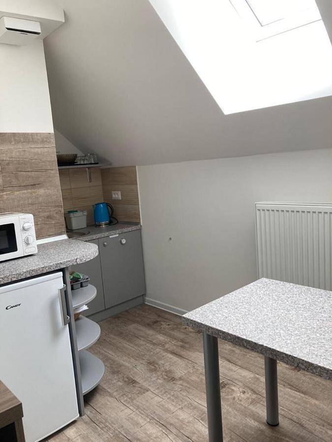 Maison d’hôte pour 4 personnes, avec vue et jardin à Kranjska Gora - 3