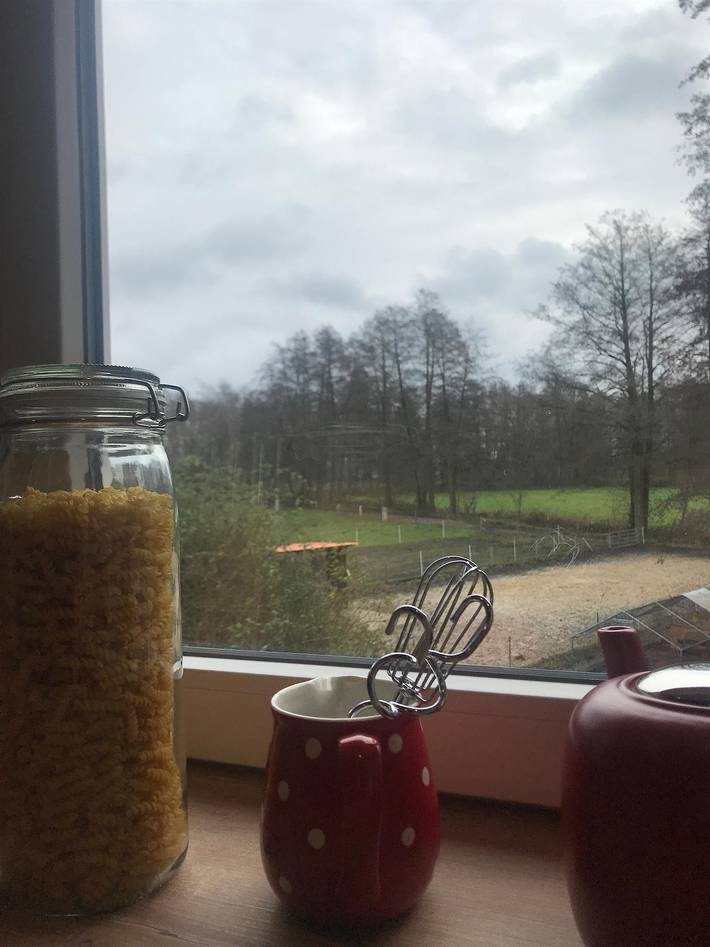 Ferienwohnung für 4 Personen, mit Garten in Eschede - 3