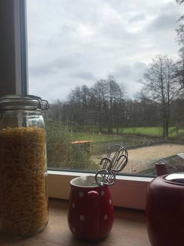 Ferienwohnung für 4 Personen in Habighorst, Eschede, Bild 2