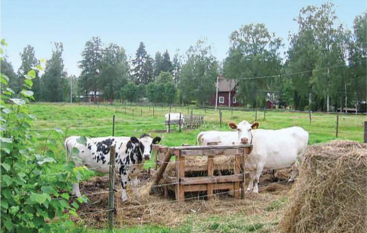 Ferienhaus für 4 Personen, mit Terrasse in Mittelschweden - 3