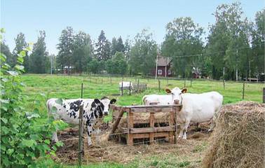 Ferienhaus für 4 Personen in Värmland, Mittelschweden, Bild 2