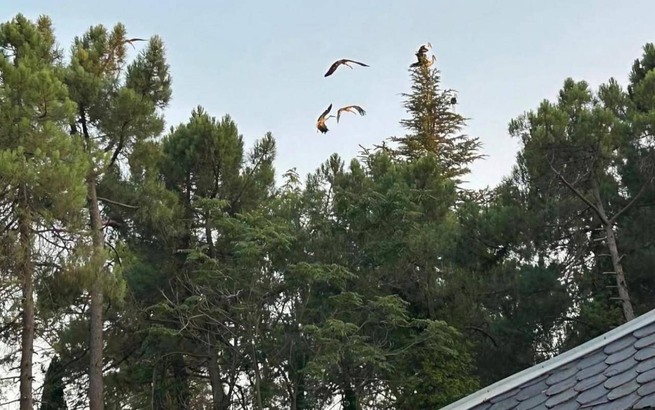 Hotel Rural Victoria in Fuentenava de Jábaga, Provincia de Cuenca