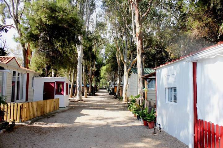 Apartamento para 4 personas, con piscina para niños además de piscina y jardín, Se admiten mascotas en Alcanar
