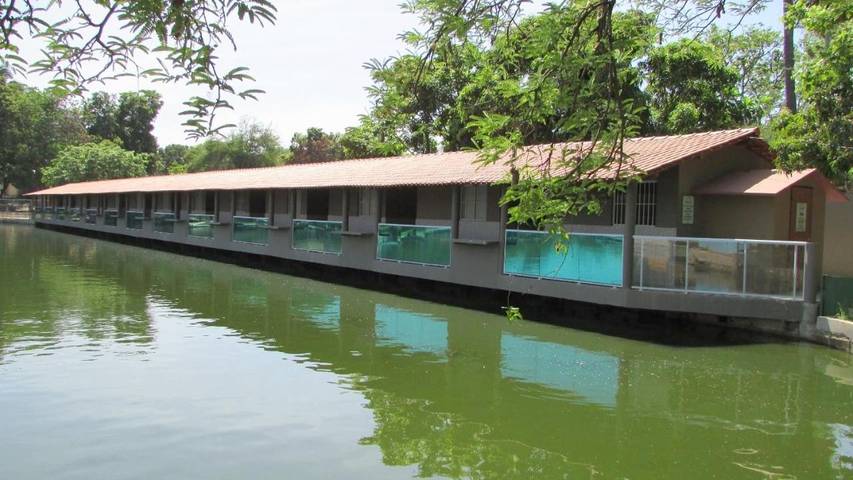 Bungalow para 3 personas, con jardín y piscina en Brasil