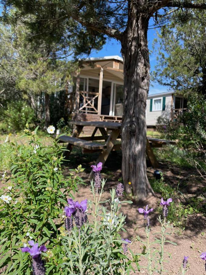 Camping pour 4 personnes, avec jardin à Porto-Vecchio - 4