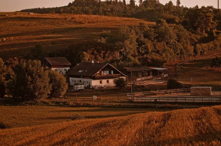Studio für 4 Personen, mit Sauna und Garten, mit Haustier - 1
