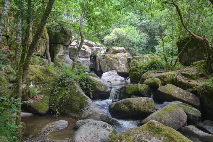 Location de vacances pour 10 personnes, avec balcon ainsi que vue et jardin à Vitrac (Cantal) - 4