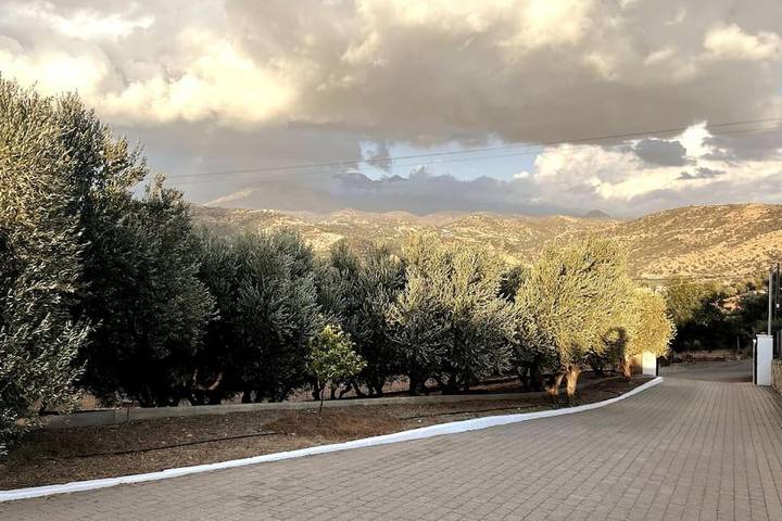 Ferienhaus für 12 Personen, mit Balkon und Terrasse sowie Garten und Kinderpool in Agia Galini - 2