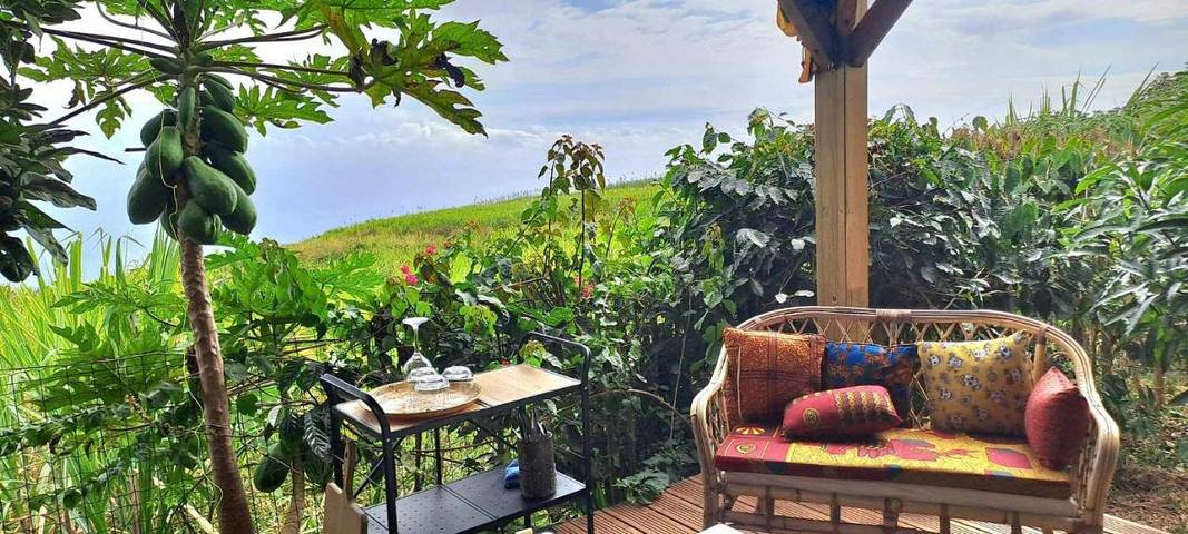 Gîte pour 2 personnes, avec terrasse et jardin à Les Trois-Bassins - 2