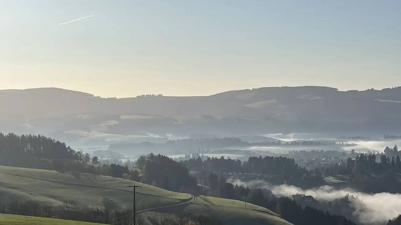 Ferienhaus für 4 Personen (70 m²) in St. Peter in St. Peter, Südschwarzwald