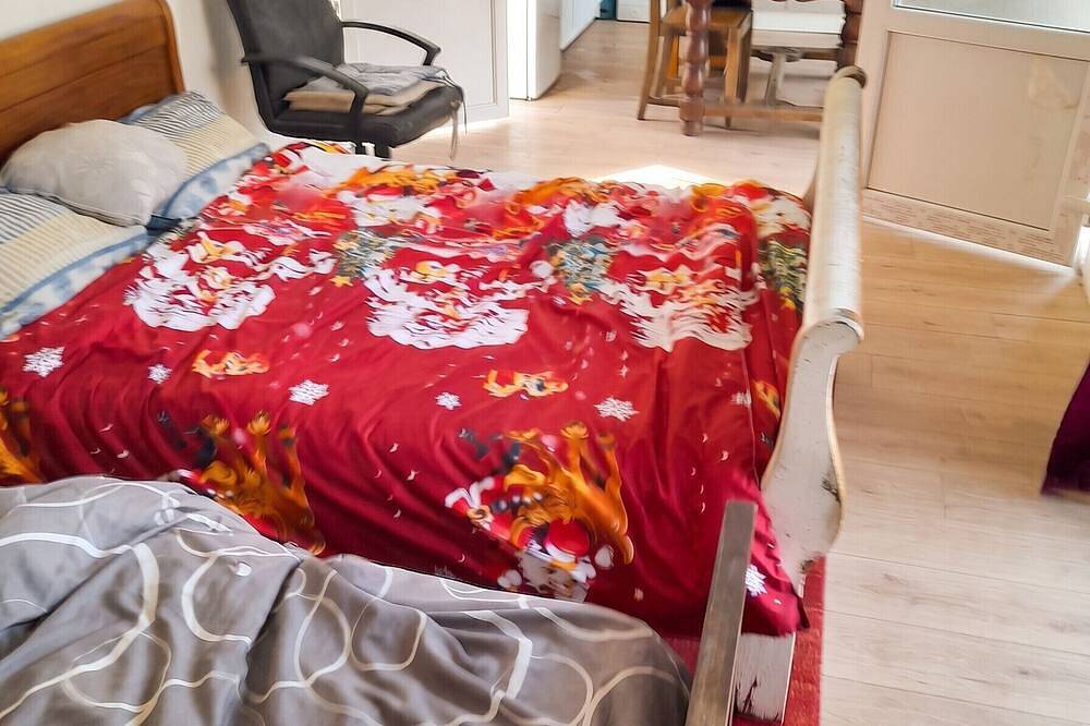 Apartamento entero, Homerez - Estudio cómodo en Bellerive-sur-Allier in Bellerive-sur-Allier, Región de Vichy