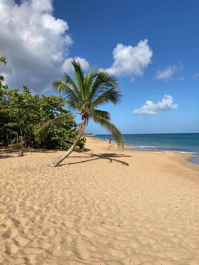 Gîte pour 4 personnes, avec jardin dans Plage de la Perle - 2