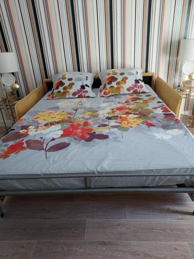 Gîte pour 4 personnes, avec jardin, adapté aux familles dans Casino De Hyeres - 4
