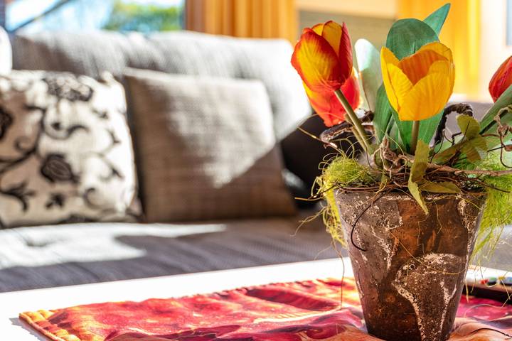 Ferienhaus für 6 Personen, mit Garten und Seeblick in Hasetal - 3