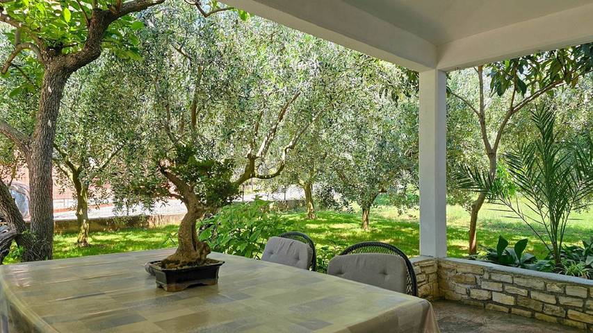 Ferienwohnung für 4 Personen, mit Terrasse und Garten in Novigrad - 4