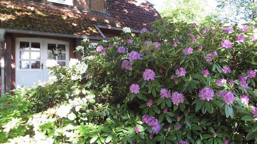 Ferienwohnung für 4 Personen, mit Garten in der Lüneburger Heide - 3