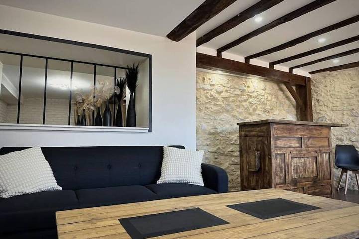 Gîte pour 12 personnes, avec piscine et jardin à Cassagne (Haute-Garonne) - 3