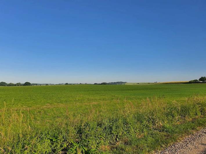 Ferienhaus für 6 Personen, mit Garten und Terrasse, mit Haustier in Diernæs - 3