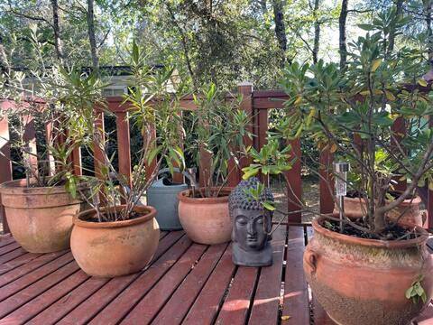 Camping pour 6 personnes, animaux acceptés dans la Région de nyons - 4