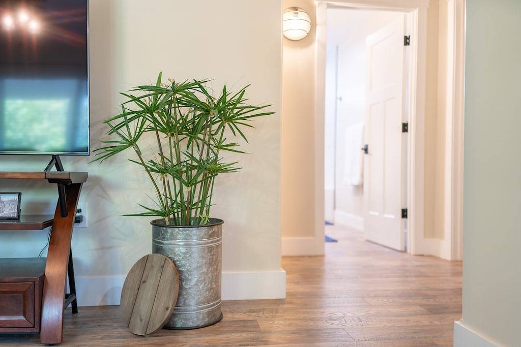 Heart of Shasta Lake City in Shasta Lake