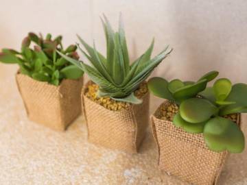 Ferienhaus in Inca, Mallorca Inselmitte für 4 