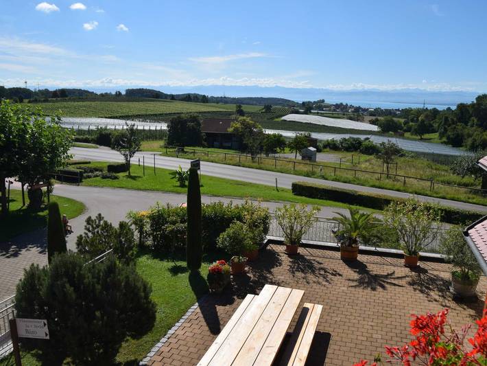 Ganze Ferienwohnung, Apartments Alpenblick-Weingut Geiger - Haus 1, 2-Zi.-Fewo B in Meersburg, Region Bodensee-Oberschwaben