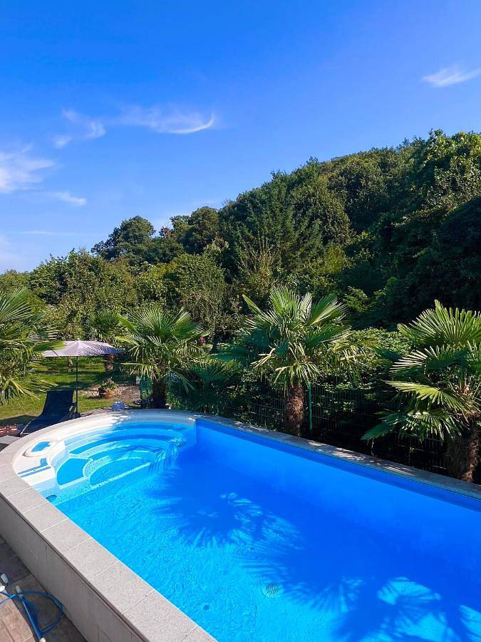 Ferienhaus für 5 Personen, mit Pool und Garten sowie Ausblick, mit Haustier in Deutsche Weinstraße