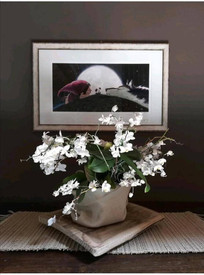 Gîte pour 5 personnes, avec jardin et vue, animaux acceptés à Peveragno