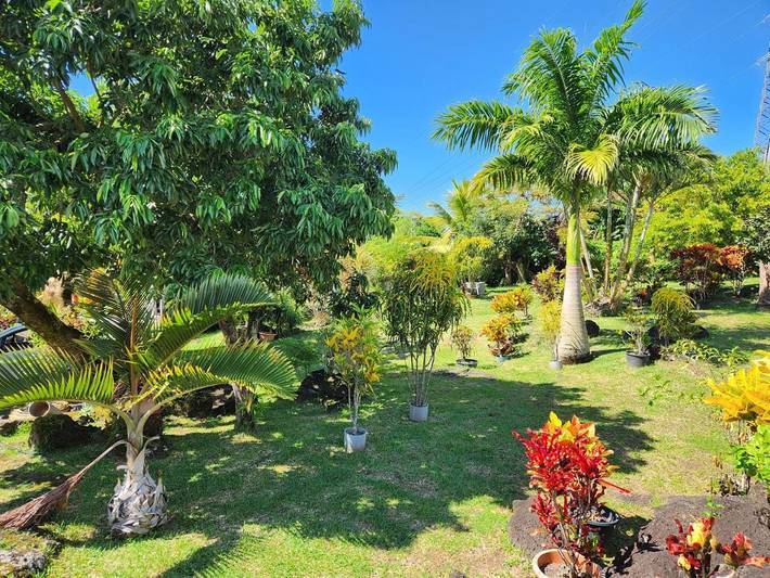 Location de vacances pour 10 personnes, avec jardin et terrasse dans Sainte-Rose (La Réunion) - 4
