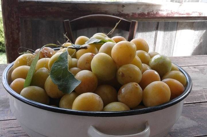 B&B für 2 Personen, mit Garten in Brandenburg - 3