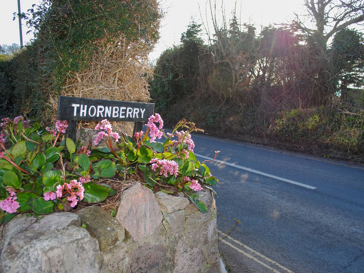 Thornberry in Salcombe, South Devon