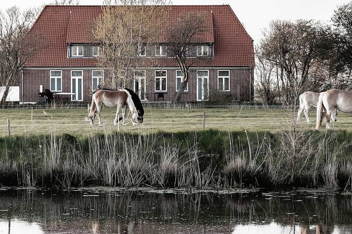 Ferienwohnung für 4 Personen, mit Garten, mit Haustier - 1