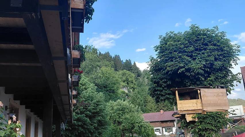 Ferienwohnung für 3 Personen, mit Terrasse in Burgberg im Allgäu - 4