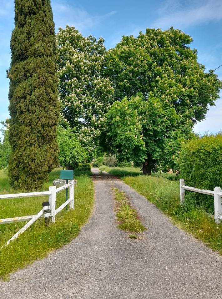 Gîte pour 4 personnes, avec jardin ainsi que piscine et terrasse à Marnac - 3