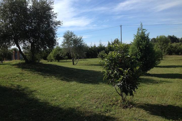 Casa  Santina    Casa posizionata in un grande giardino mediterraneo in Girasole, Provincia di Ogliastra
