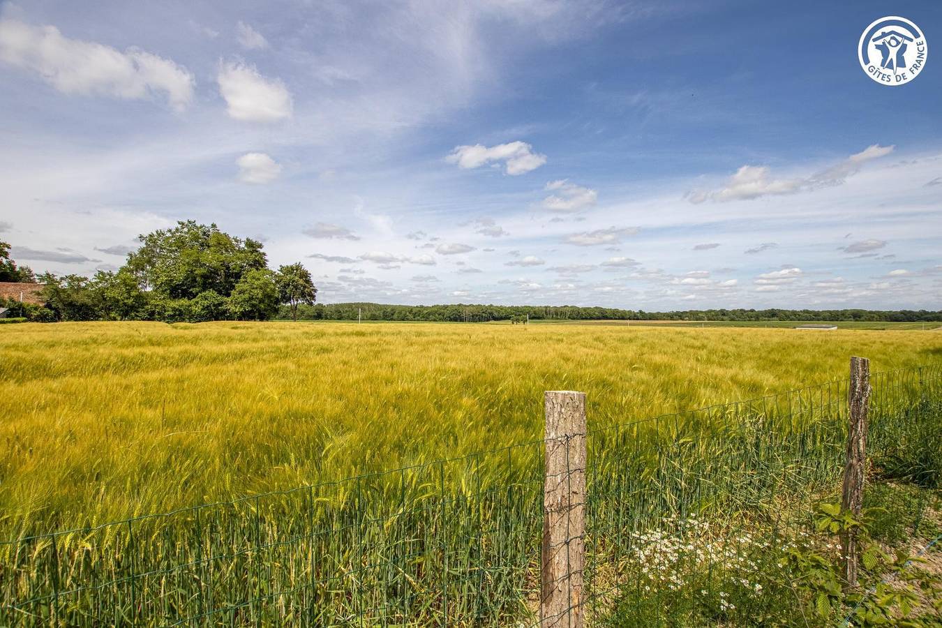Les Grands Champs in Saint-Didier-en-Bresse, Región de Chalon-sur-Saône