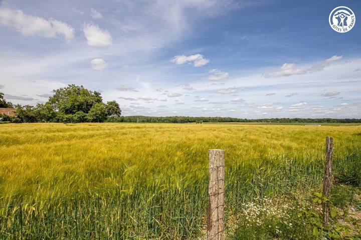 Les Grands Champs in Saint-Didier-en-Bresse, Region Chalon-sur-Saône