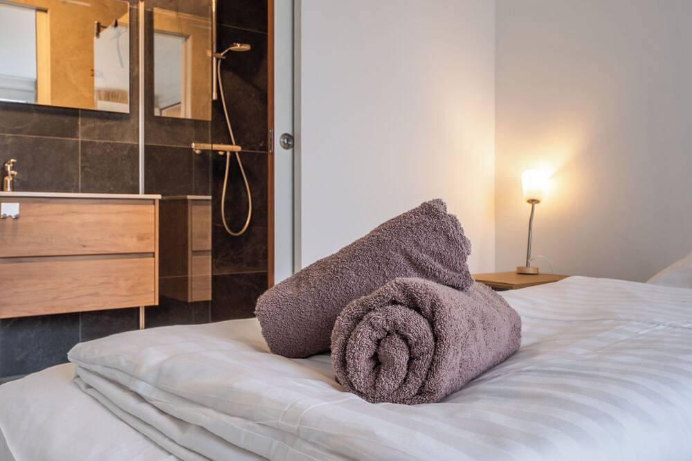 De Ruiser in Groot Valkenisse, Biggekerke