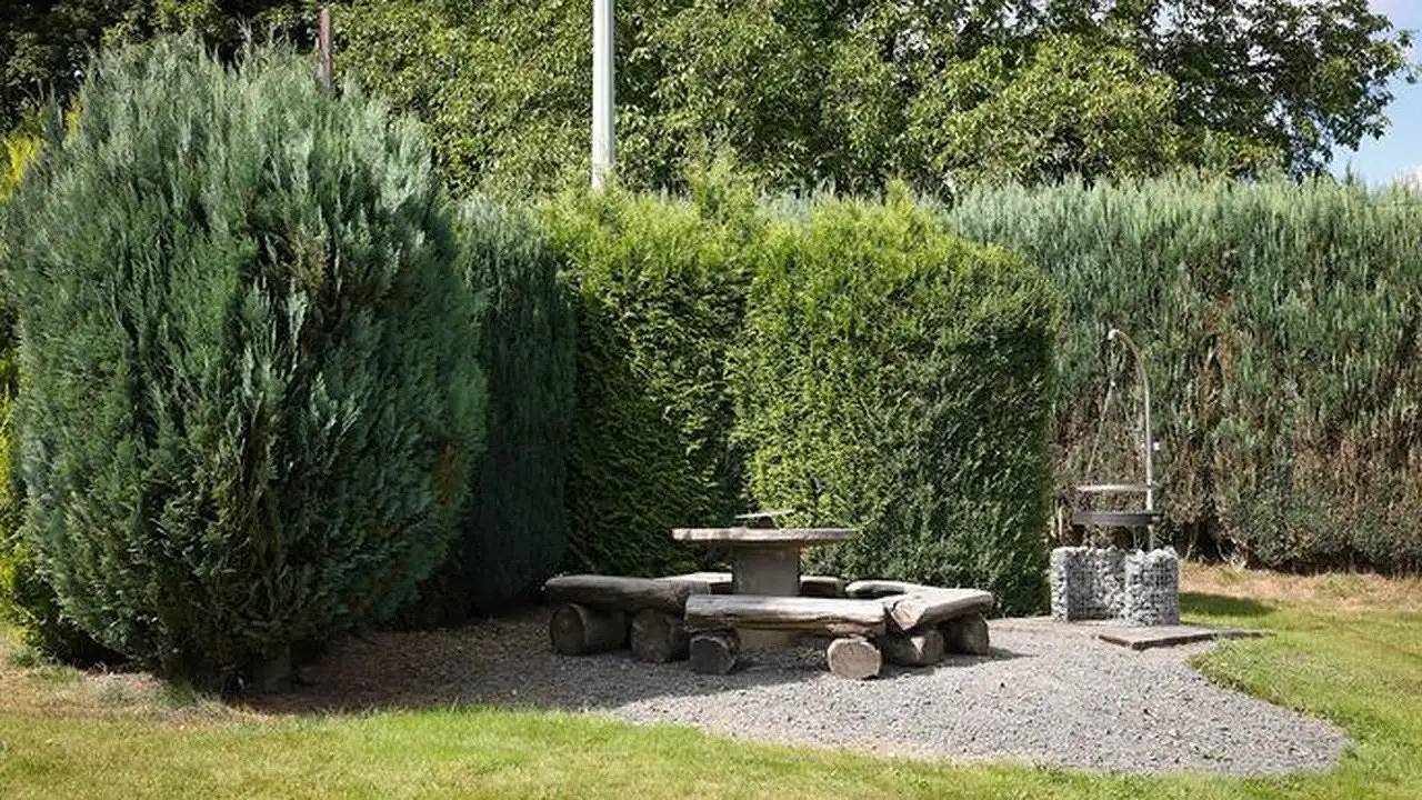 Ferienhaus für 5 Personen (60 m²) in Lautzenbrücken in Lautzenbrücken, Westerwald