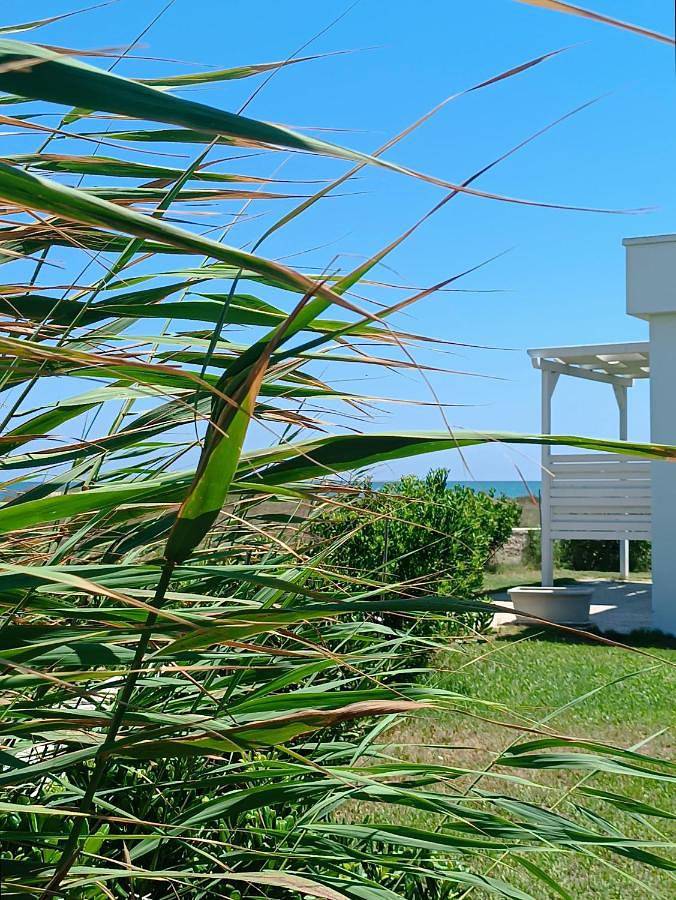 Hotel für 4 Personen, mit Terrasse, mit Haustier - 1